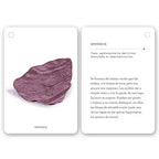 Fíjate: Rocas