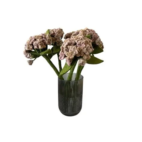 Hortensia - Rosa palo