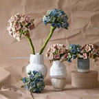 Hortensia - Rosa palo