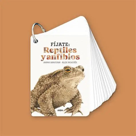 Fíjate: Reptiles y anfibios