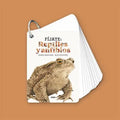 Fíjate: Reptiles y anfibios