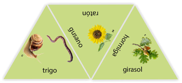 Learning Star