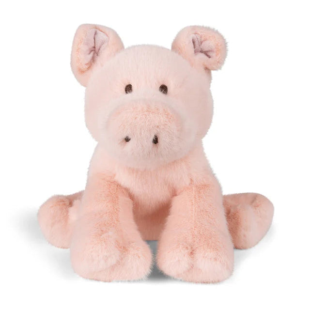 Cerdito Paddy