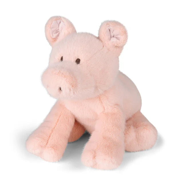 Cerdito Paddy