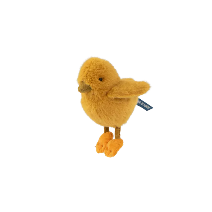 Pollito