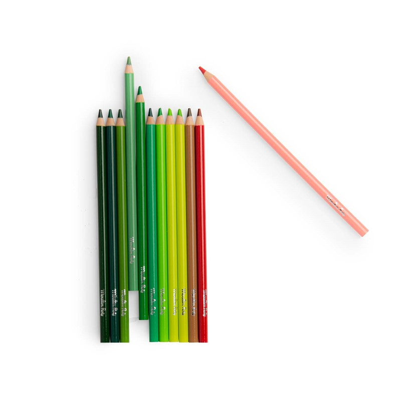 12 lápices de colores - Nature