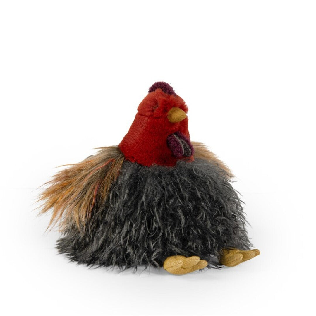 Gallina