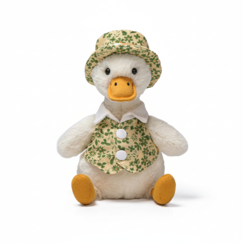 Mr. Duck