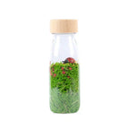 Sound Bottle Ladybirds