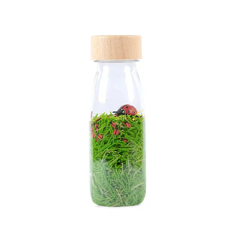 Sound Bottle Ladybirds