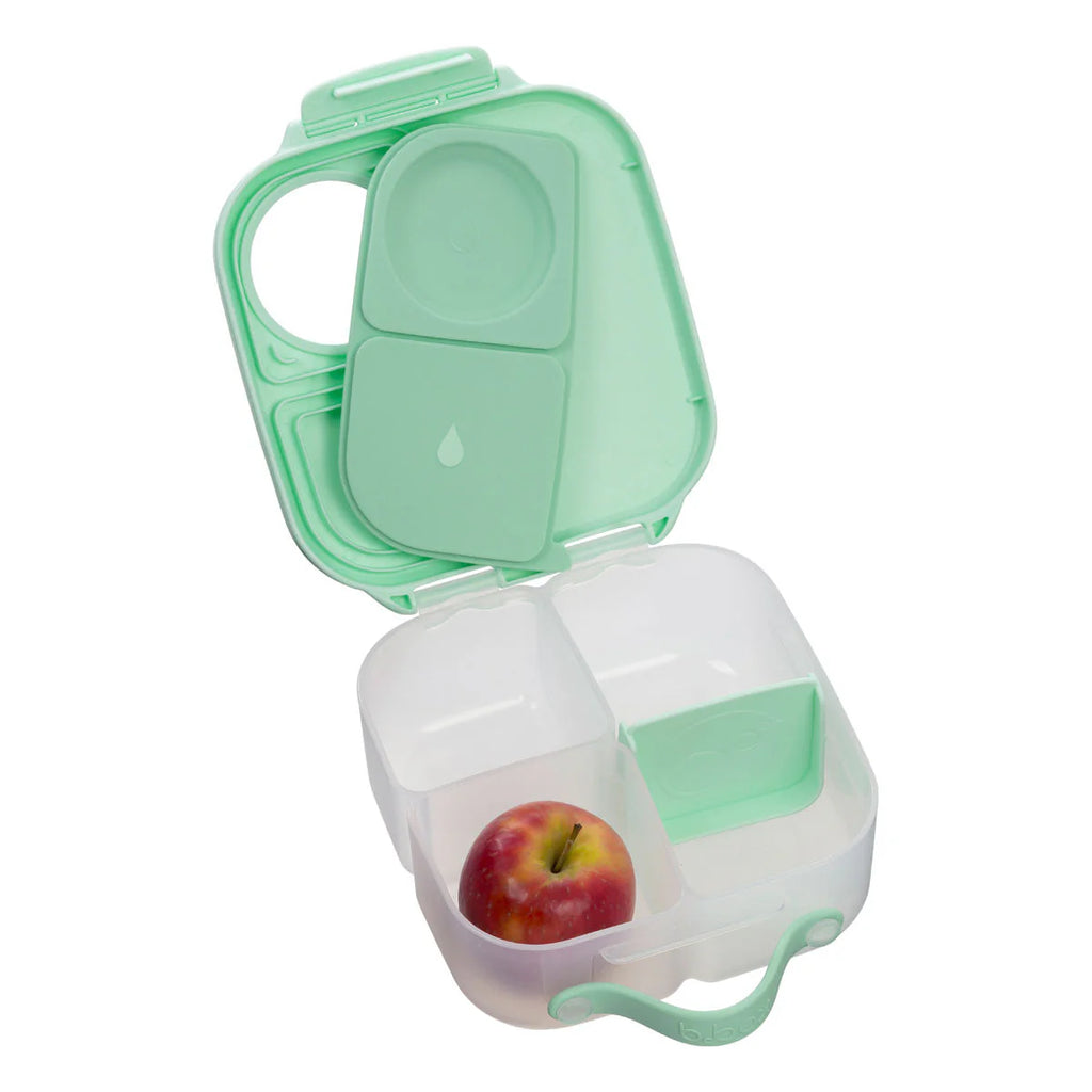 Mini Lunchbox
