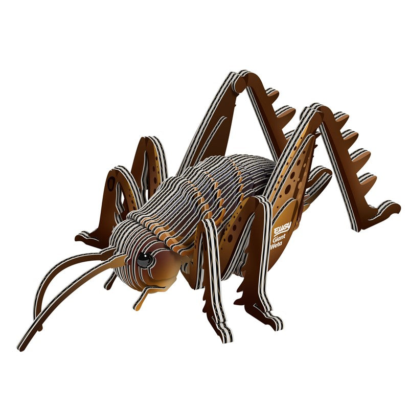 Eugy 119 Weta Gigante
