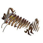 Eugy 119 Weta Gigante