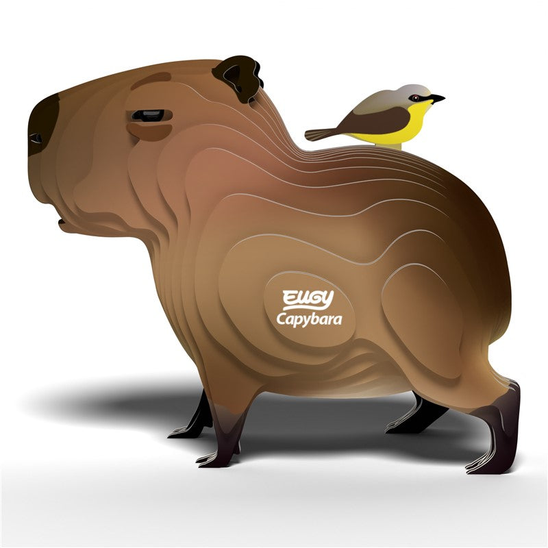 Eugy 120 Capibara
