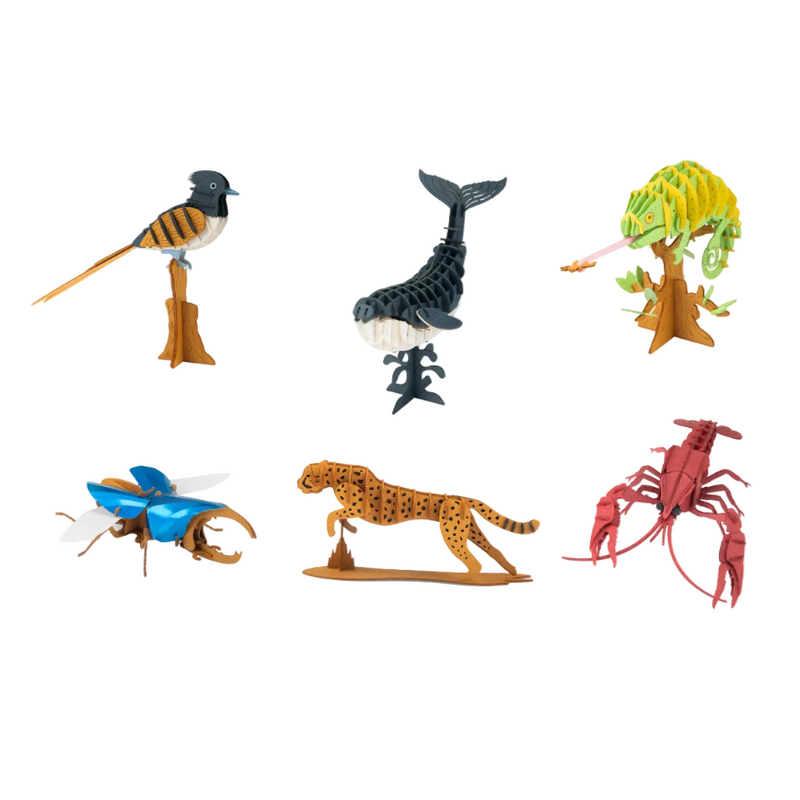Puzzle 3D - Tout autour du monde