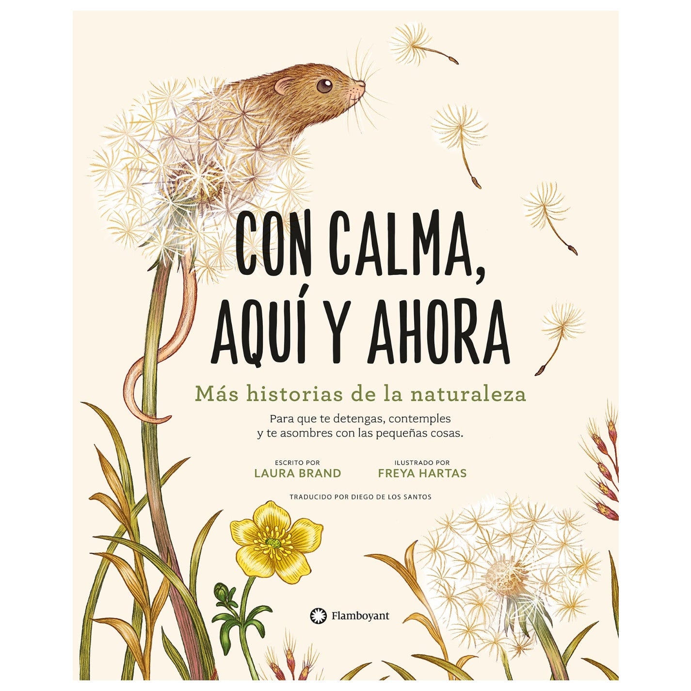 Con calma, aquí y ahora - Laura Brand
