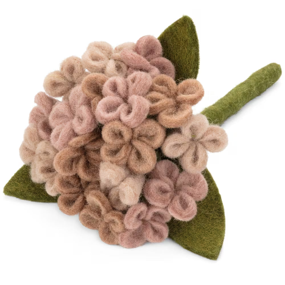 Hortensia - Rosa palo