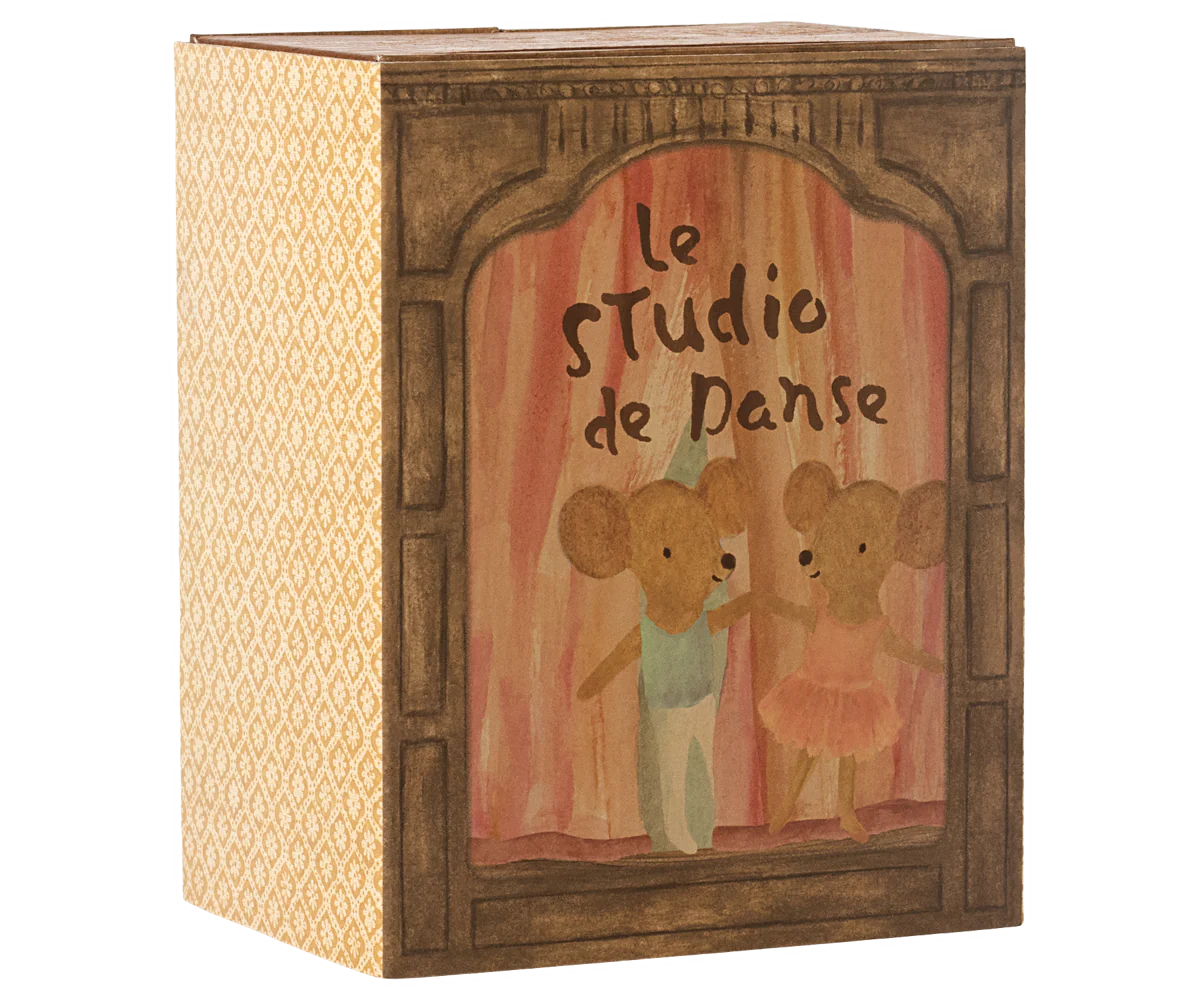 Ratones en estudio de danza, hermanos pequeños
