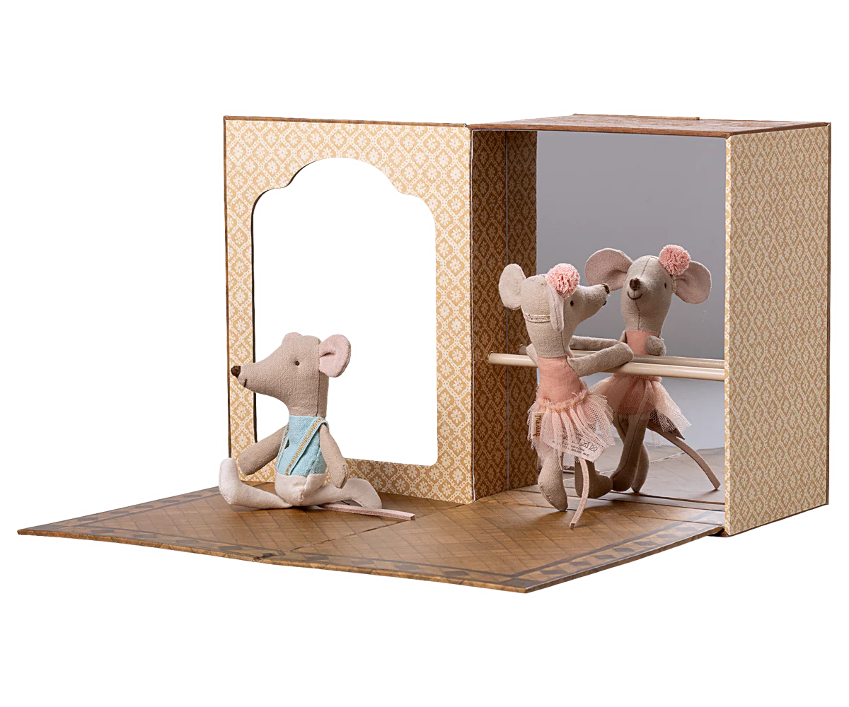 Ratones en estudio de danza, hermanos pequeños