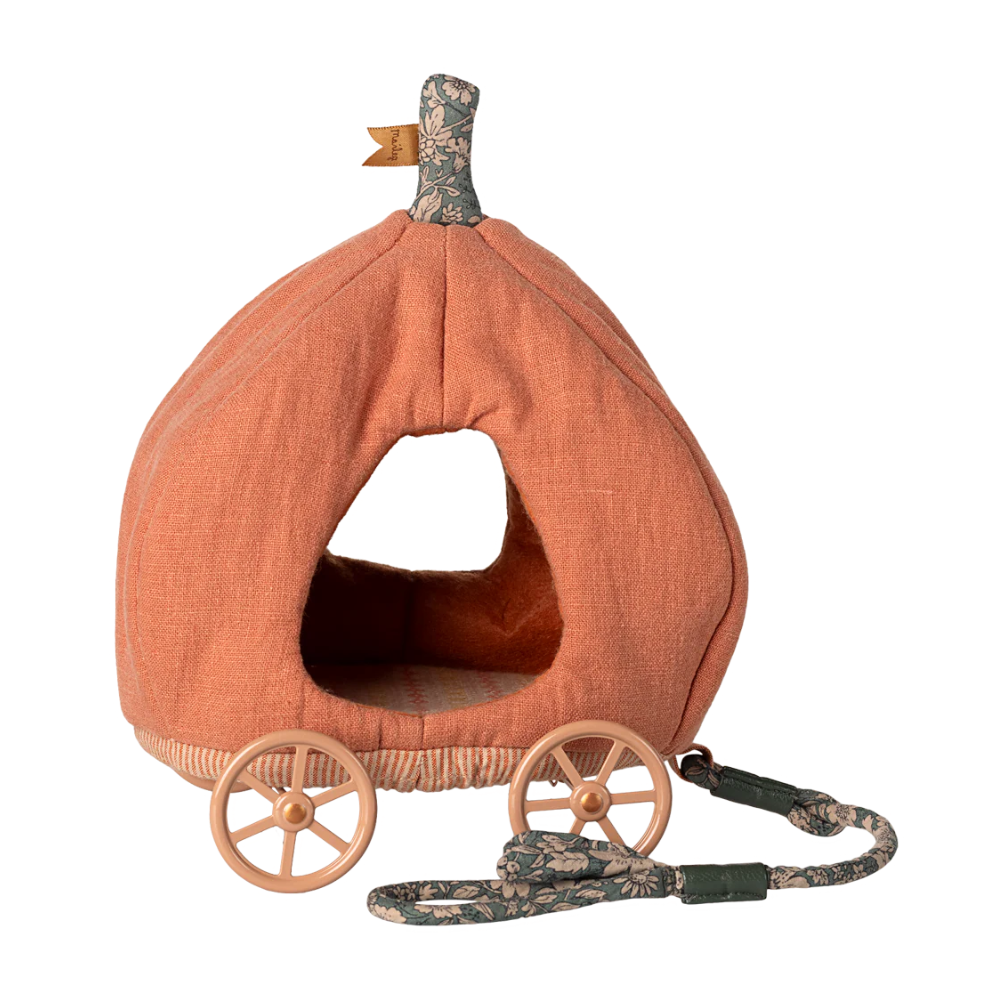 Carroza de calabaza, ratón