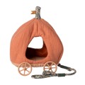 Carroza de calabaza, ratón