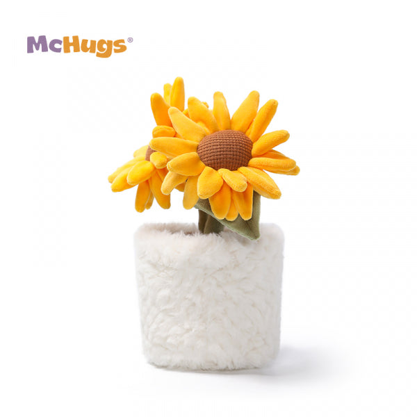 Sunshine Sunflower Bonsai
