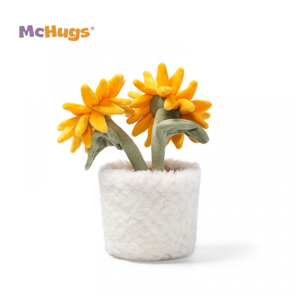 Sunshine Sunflower Bonsai