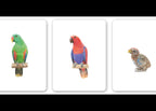 Juego de memoria - Familias animales