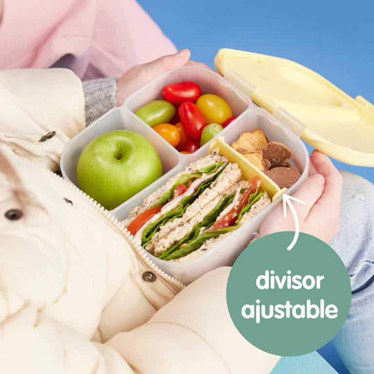 Mini Lunchbox