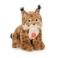 Lince