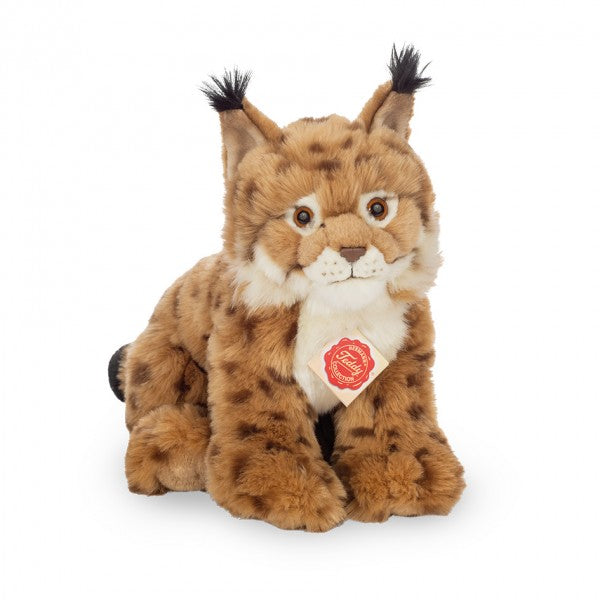 Lince