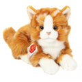 Gatito naranja