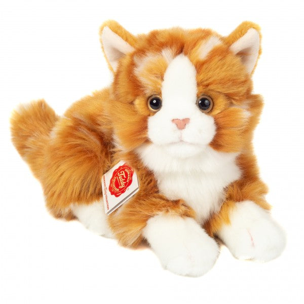 Gatito naranja