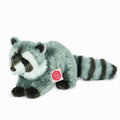 Mapache
