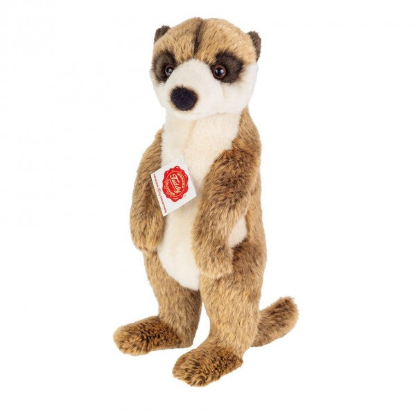Suricata