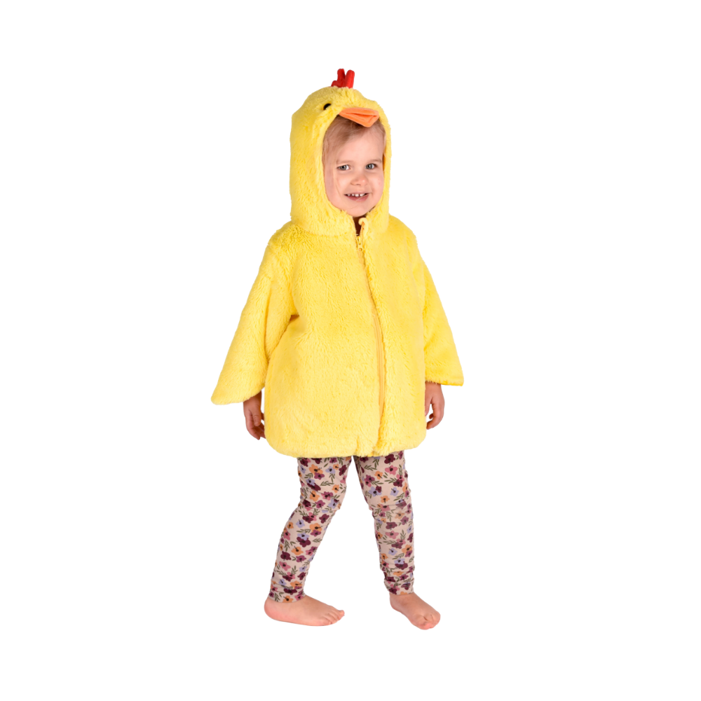 Pollito