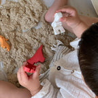 Pack Sensorial Dinos