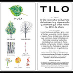 Avista el árbol