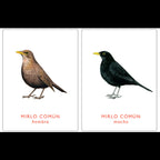 Juego de memoria - Un par de aves