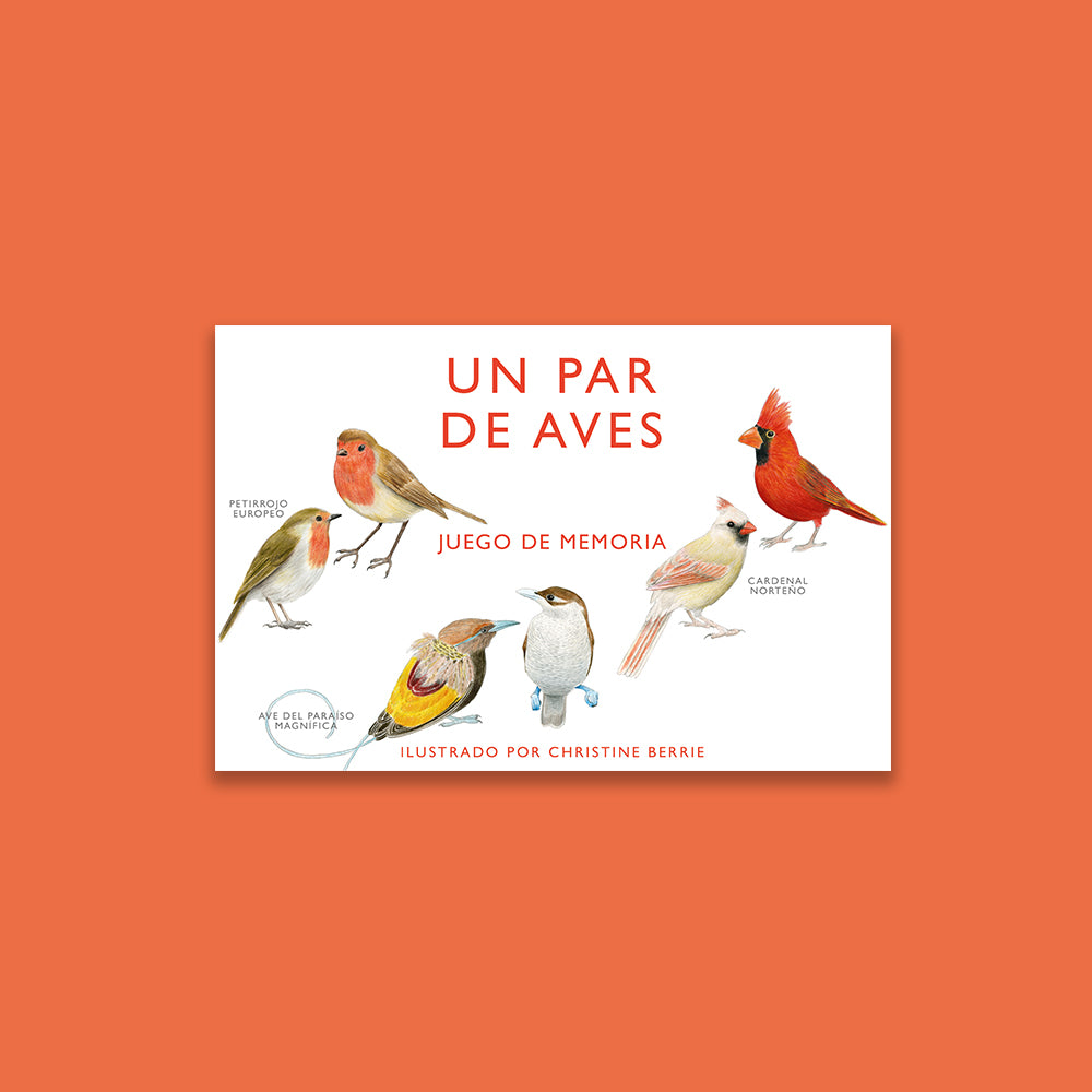 Juego de memoria - Un par de aves
