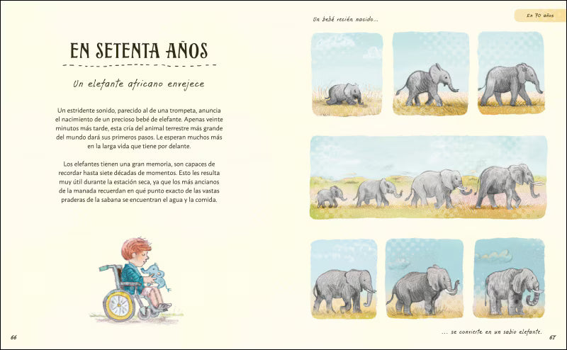 Paciencia - Rachel Williams